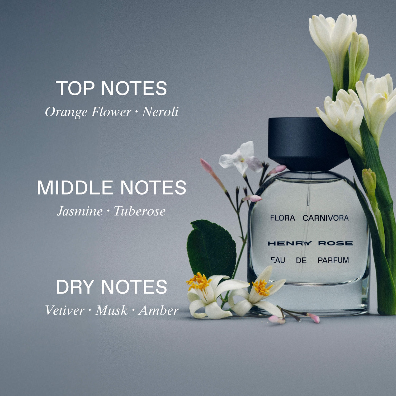 Flora Carnivora Eau de Parfum with Jasmine + Tuberose - Henry Rose