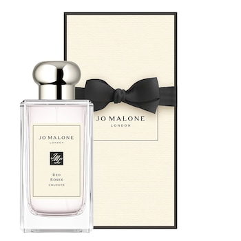 Red Roses Cologne