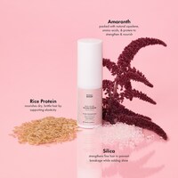 Root Boost Volume Powder with Amaranth + Rice Protein
