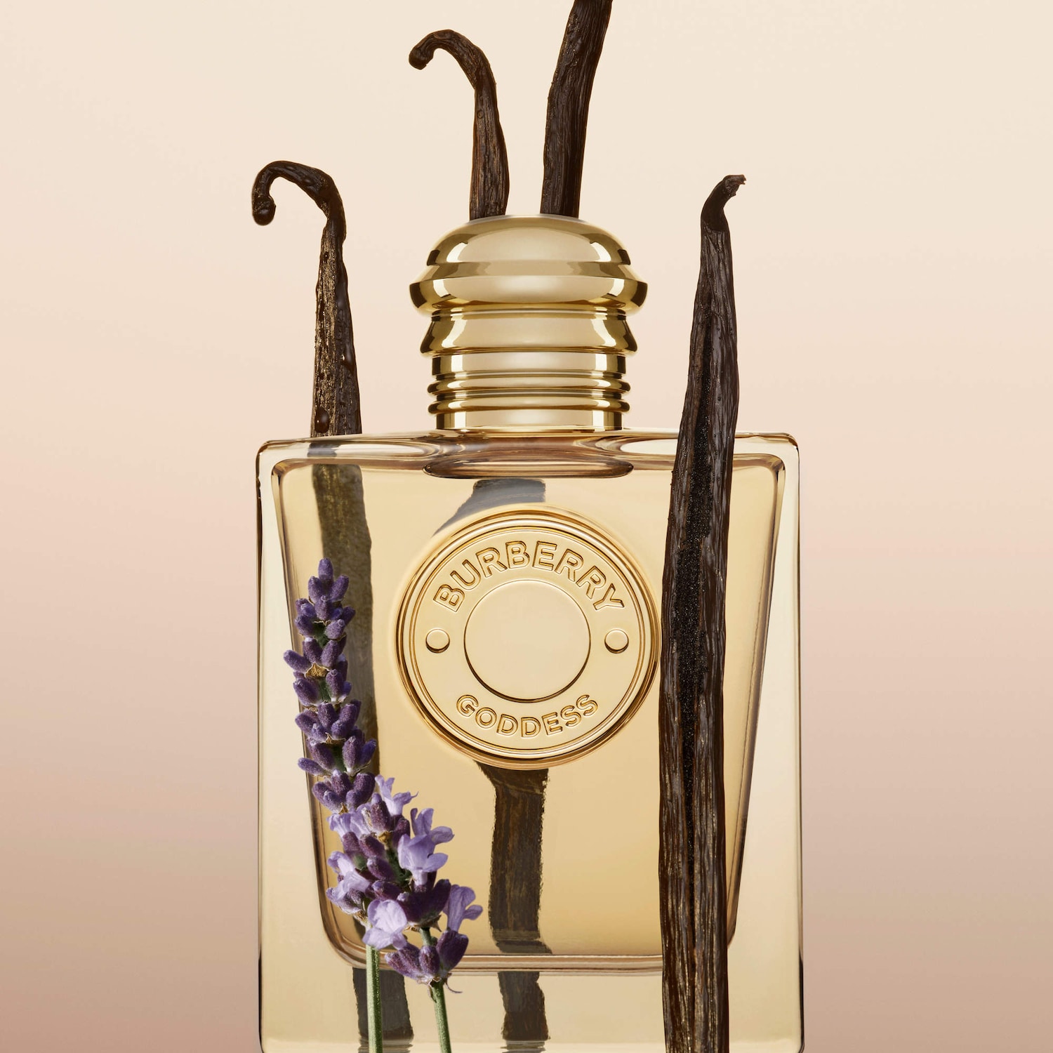 ✨3種の異なるバニラアコード✨Burberry Goddess フレグランス Burberry Goddess Eau de Parfum with Vanilla & Lavender - BURBERRY