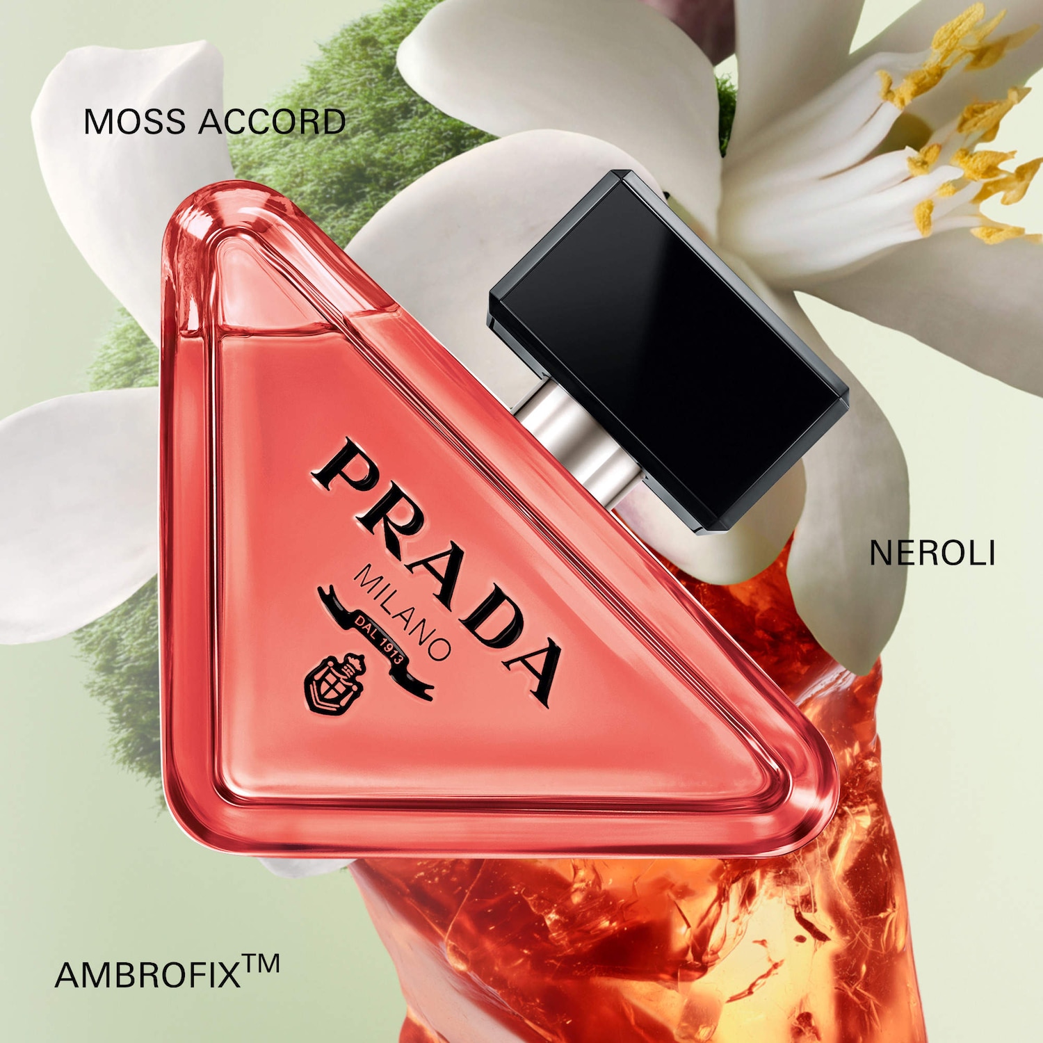 Paradoxe Intense Eau de Parfum with Amber & Jasmine - Prada | Sephora