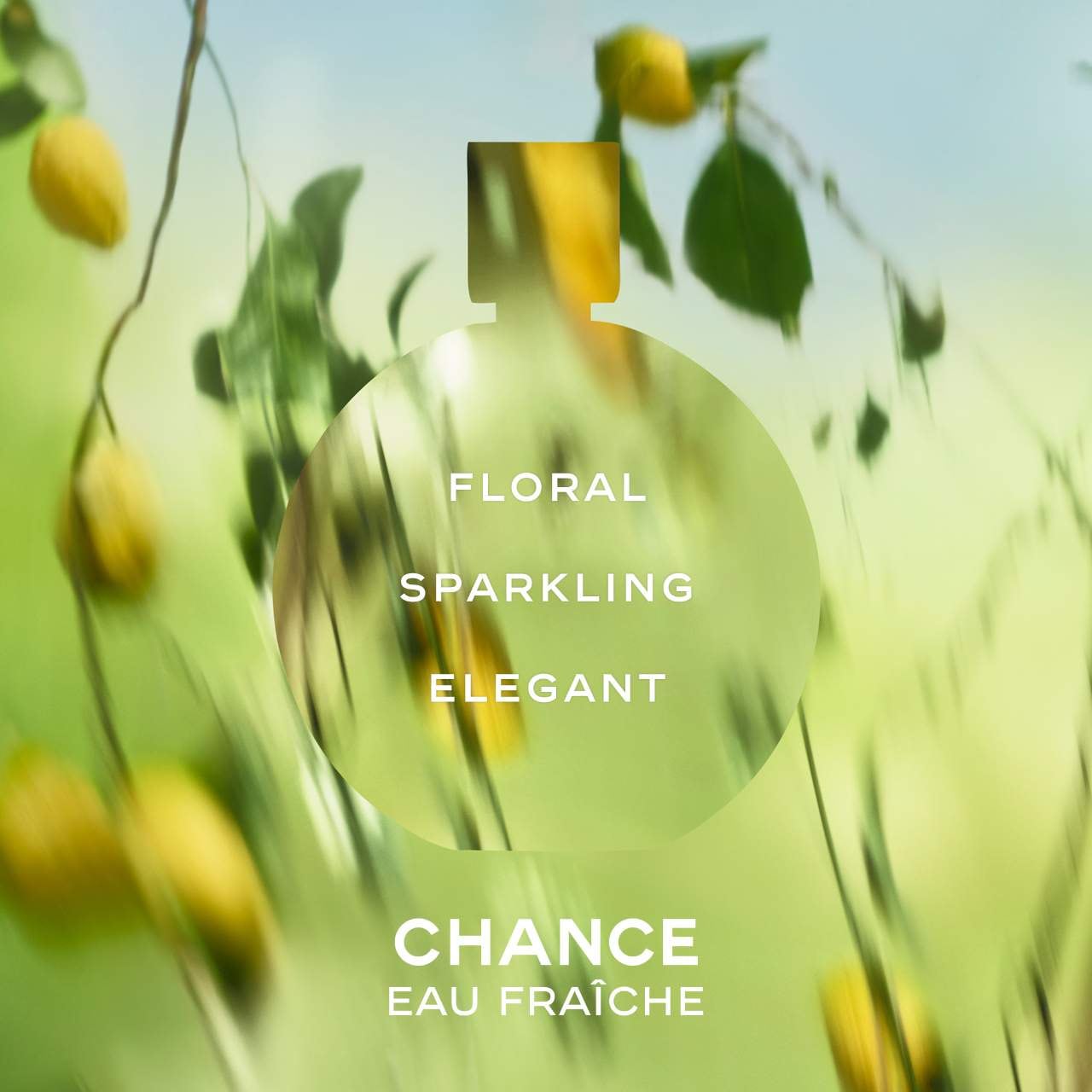 CHANCE EAU FRAÎCHE Eau de Parfum Spray - CHANEL | Sephora