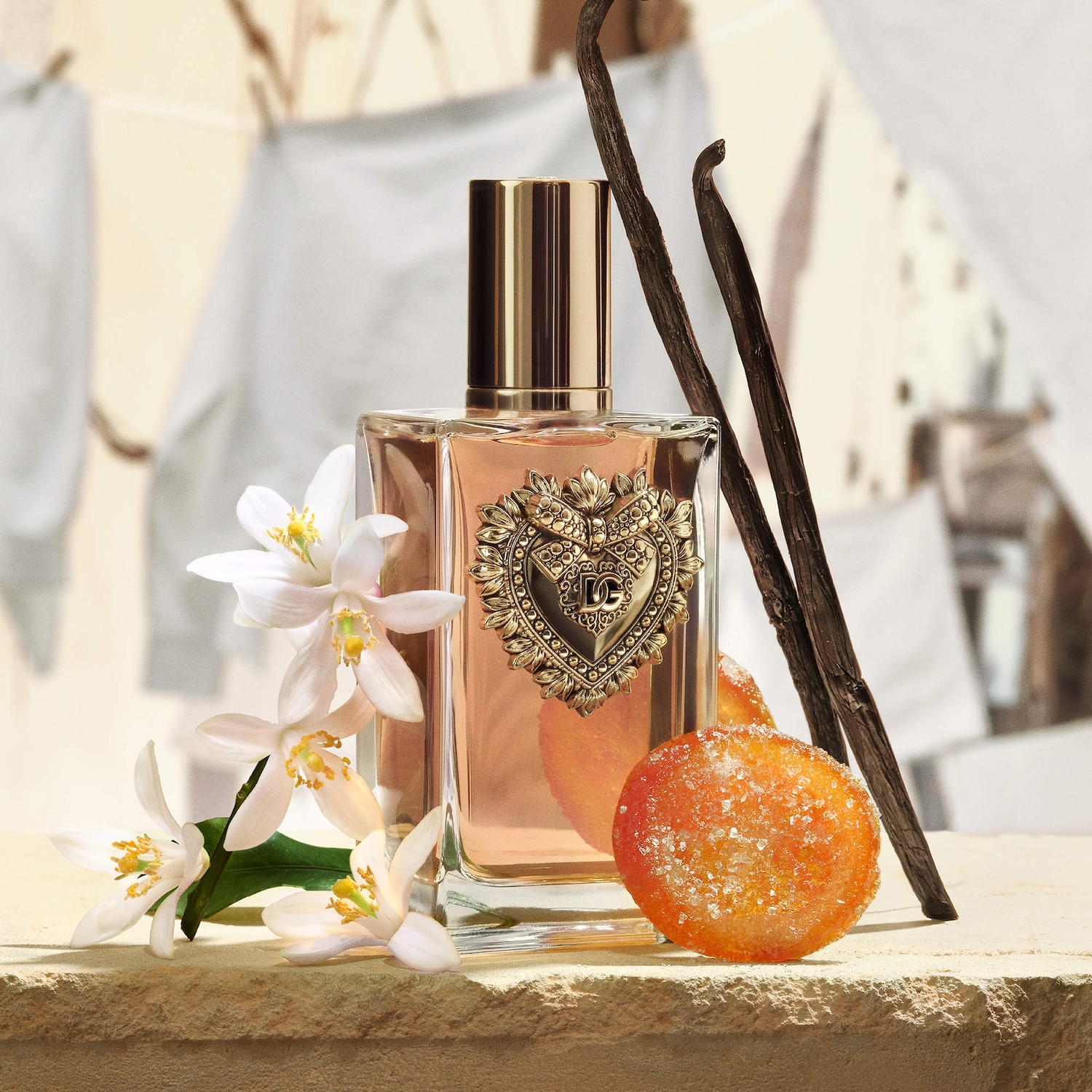 Devotion Eau de Parfum with Citrus & Vanilla - Dolce&Gabbana | Sephora