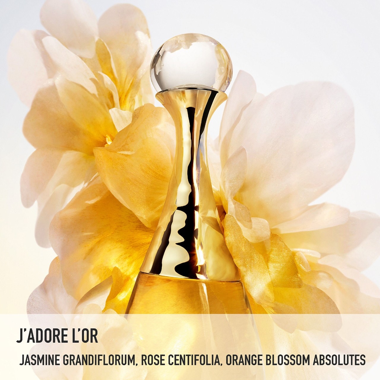 J'adore L'Or Eau de Parfum