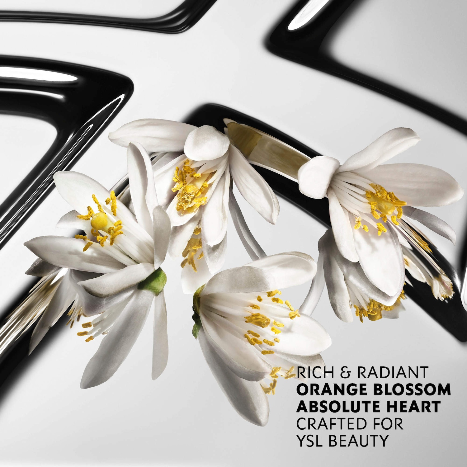 MYSLF Eau de Parfum with Fresh Accord & Warm Woods - Yves Saint
