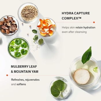 Gentle Cleansing Foam