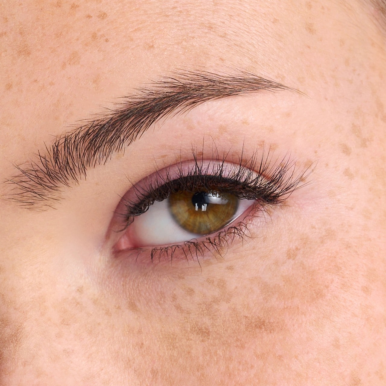 Plant Fibre Lash Collection