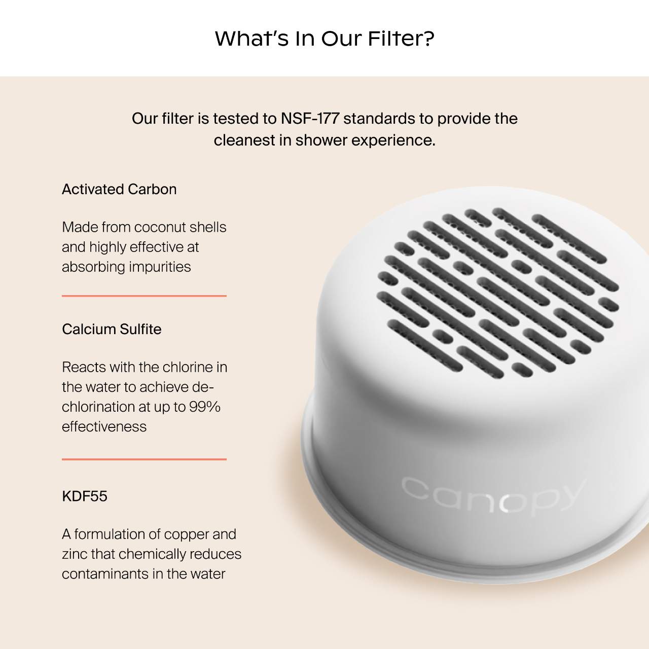 Фильтры для душевой лейки Canopy Showerhead Filters — фото 3