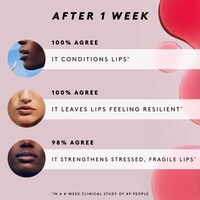 Fruit Quench rz Hydrating + Conditioning Lip Oil Duo