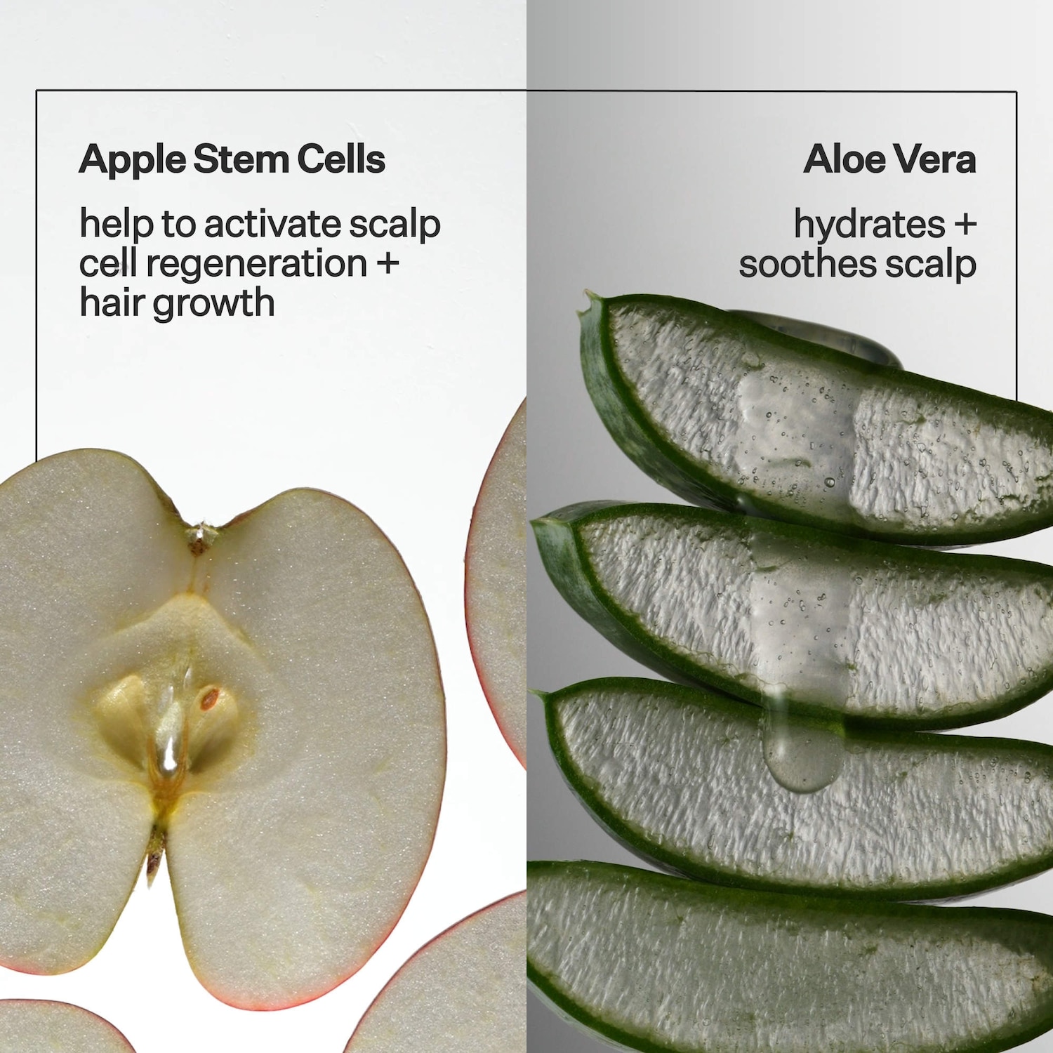 2% Stem Cell H-2 Grow Complex ™ Scalp Serum For Thicker-Looking