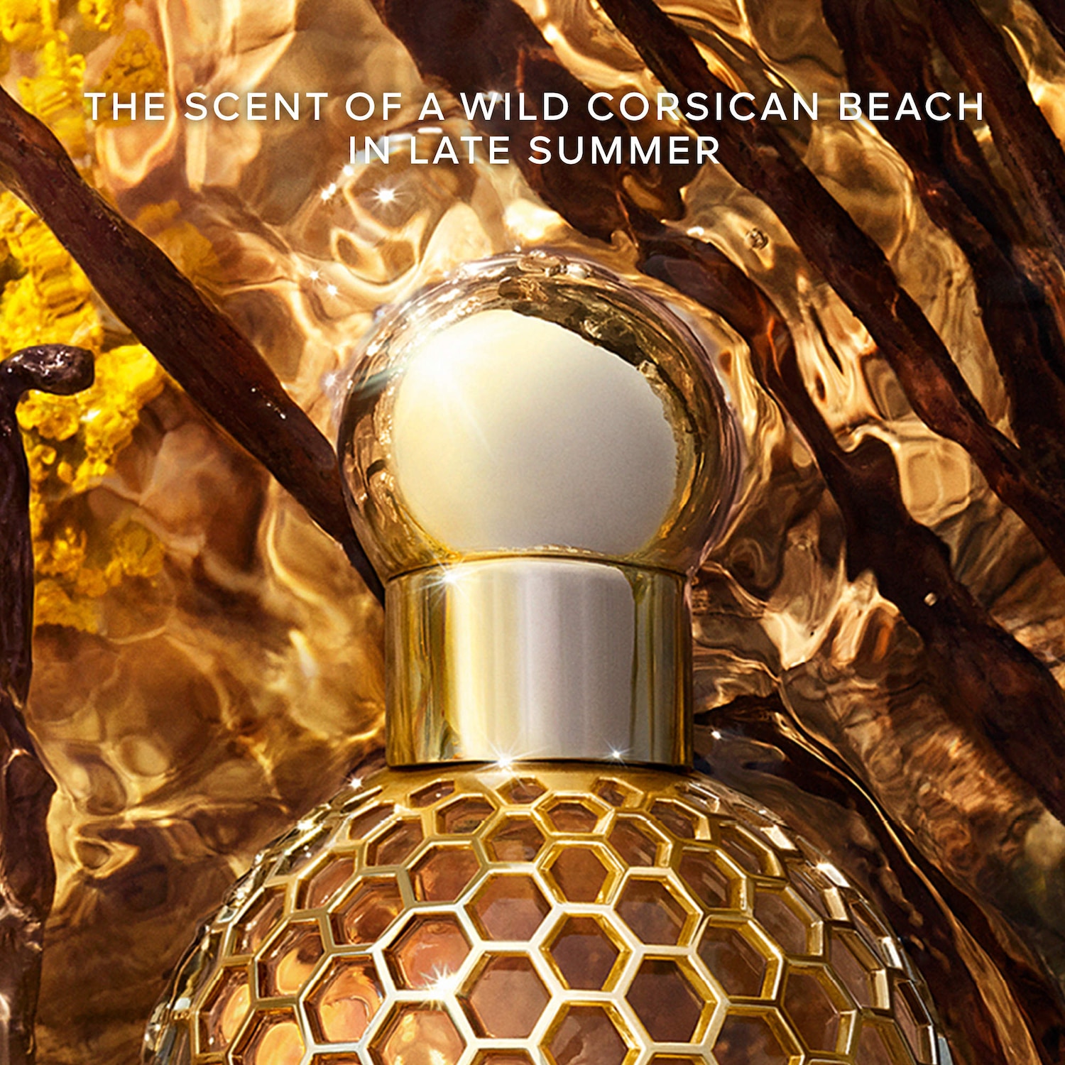 Aqua Allegoria Bosca Vanilla Forte Eau de Parfum - GUERLAIN | Sephora
