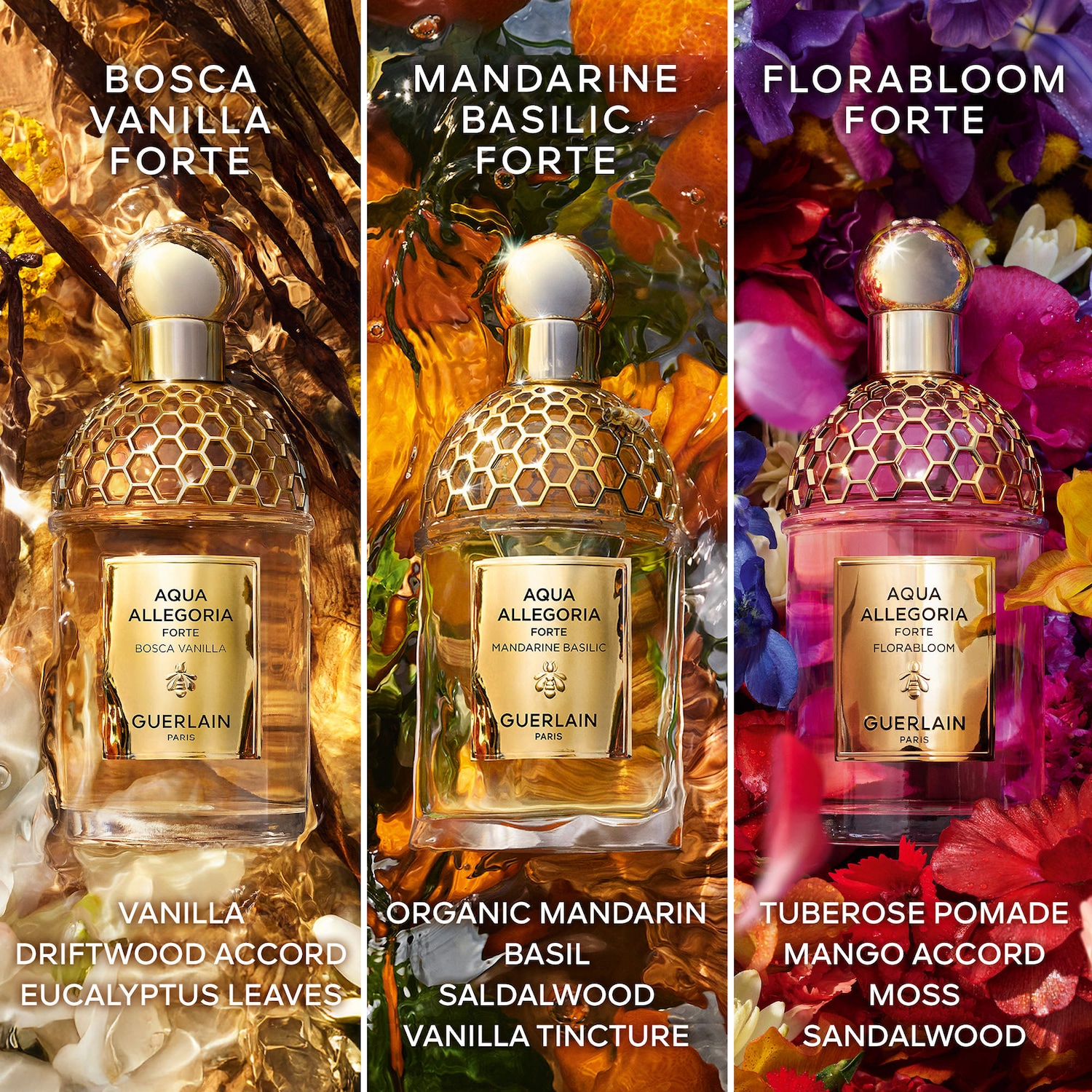 Aqua Allegoria Bosca Vanilla Forte Eau de Parfum with Vanilla