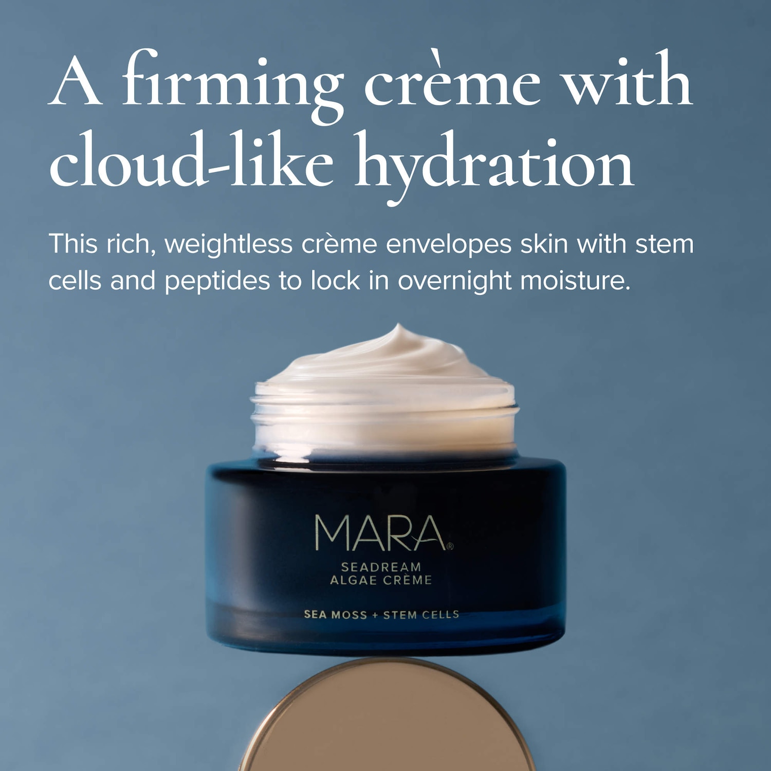 SeaDream Algae Creme Moisturizer for Firming & Tightening with Sea