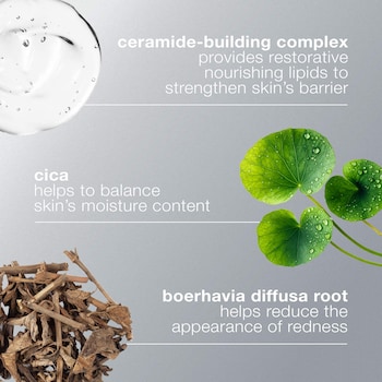 Stabilizing Repair Cream Moisturizer with Squalane and Cica