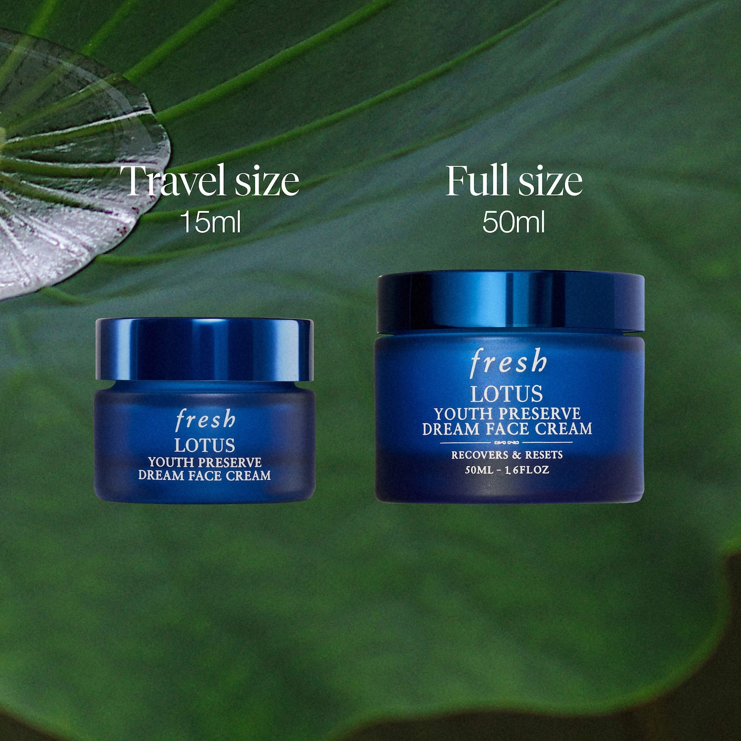 Mini Lotus Anti-Aging Night Moisturizer