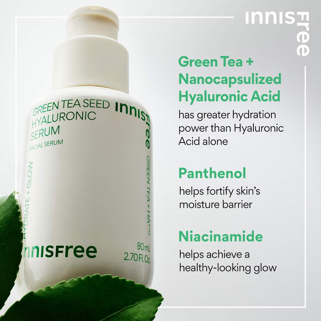 Innisfree Green Tea Hyaluronic Acid Hydrating Serum Pacific City