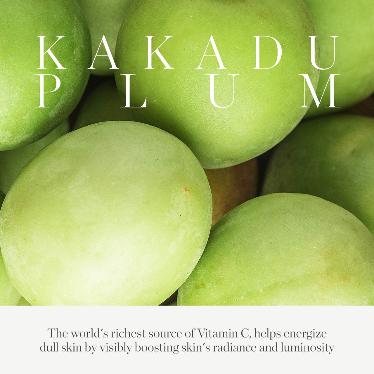 Сыворотка KORA Organics Kakadu Plum с витамином C — фото 4