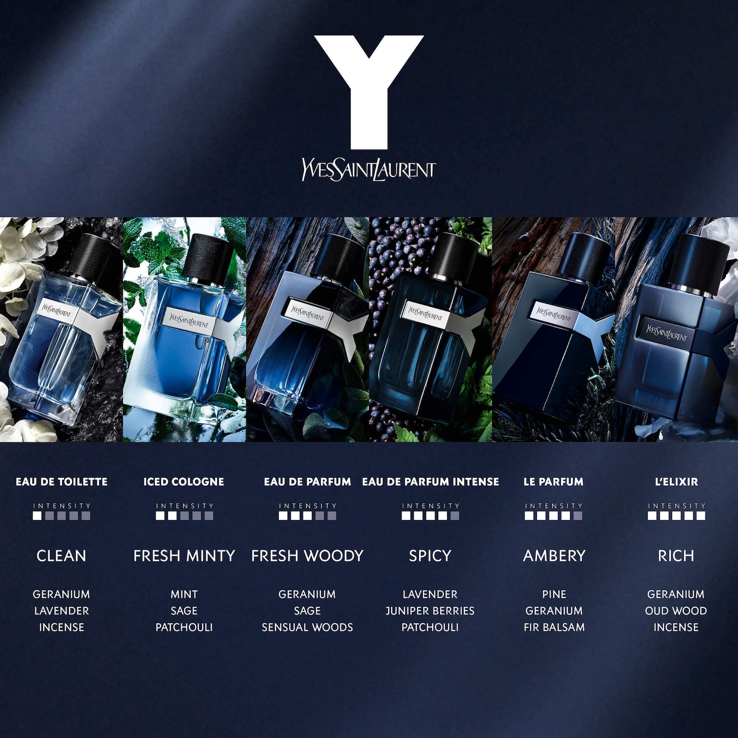 Y Eau de Parfum with Fresh Geranium & Sensual Woods