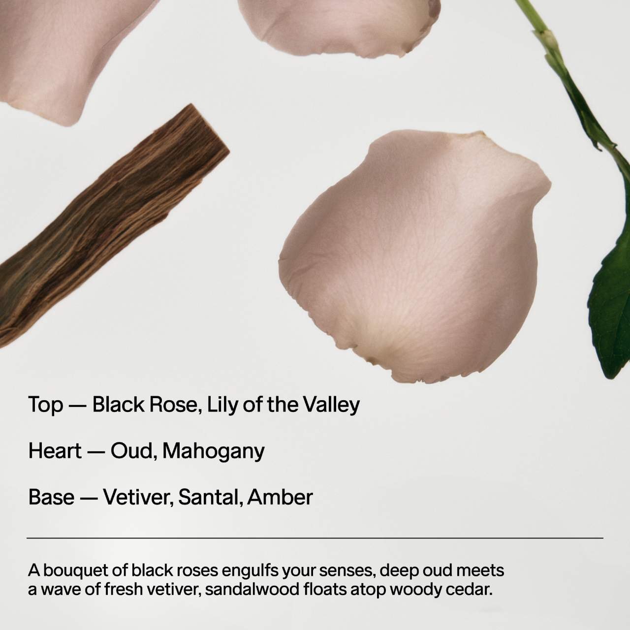 Увлажняющий лосьон для тела Salt & Stone Black Rose & Oud с ниацинамидом — фото 8
