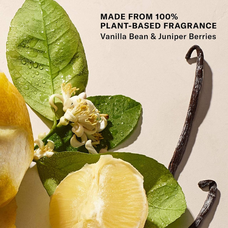 Mini Vanilla Vibezzz - Argan Oil + Sugar Balm Refillable Exfoliating Body Scrub thumbnail 4