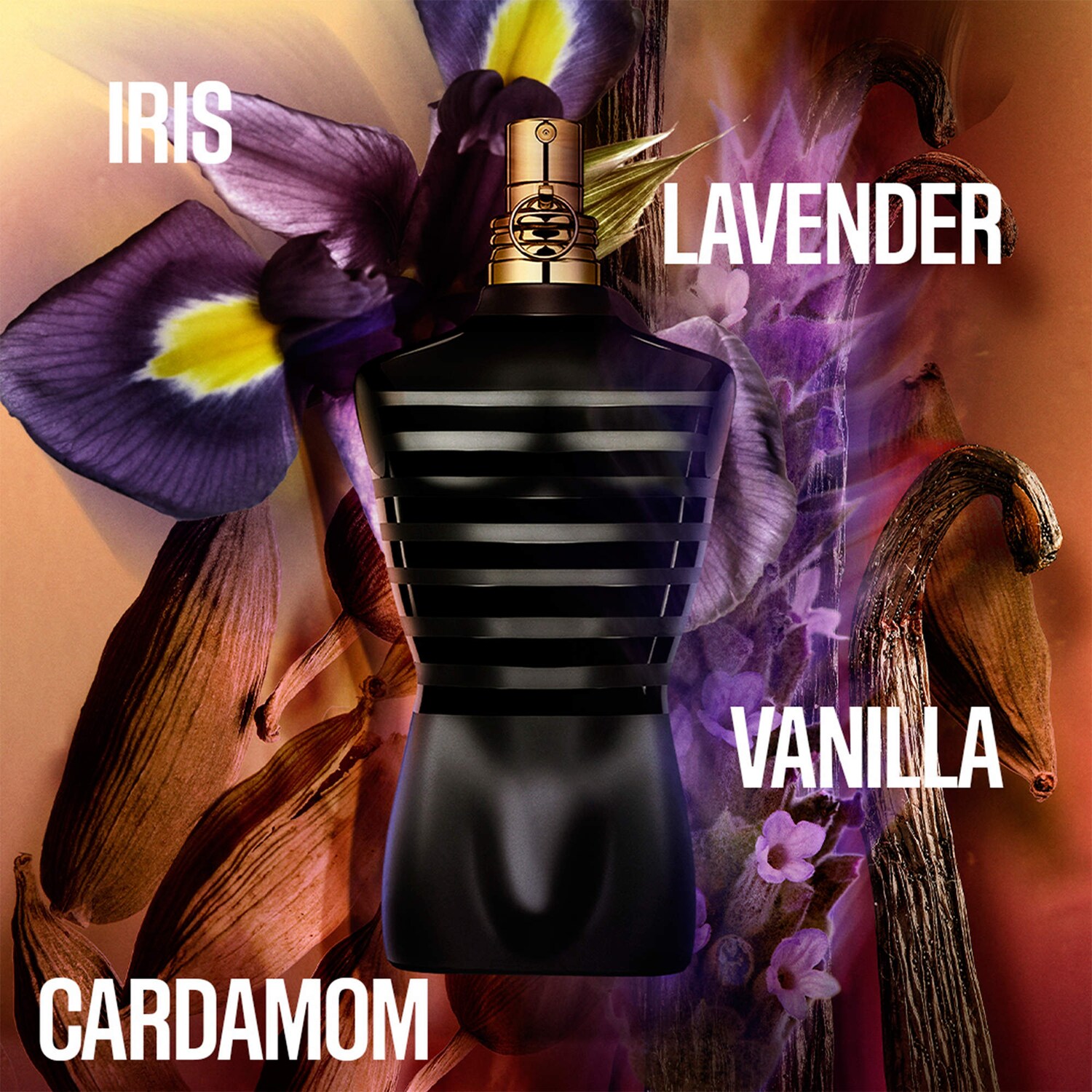 Le Male Le Parfum with Lavender & Iris - Jean Paul Gaultier | Sephora