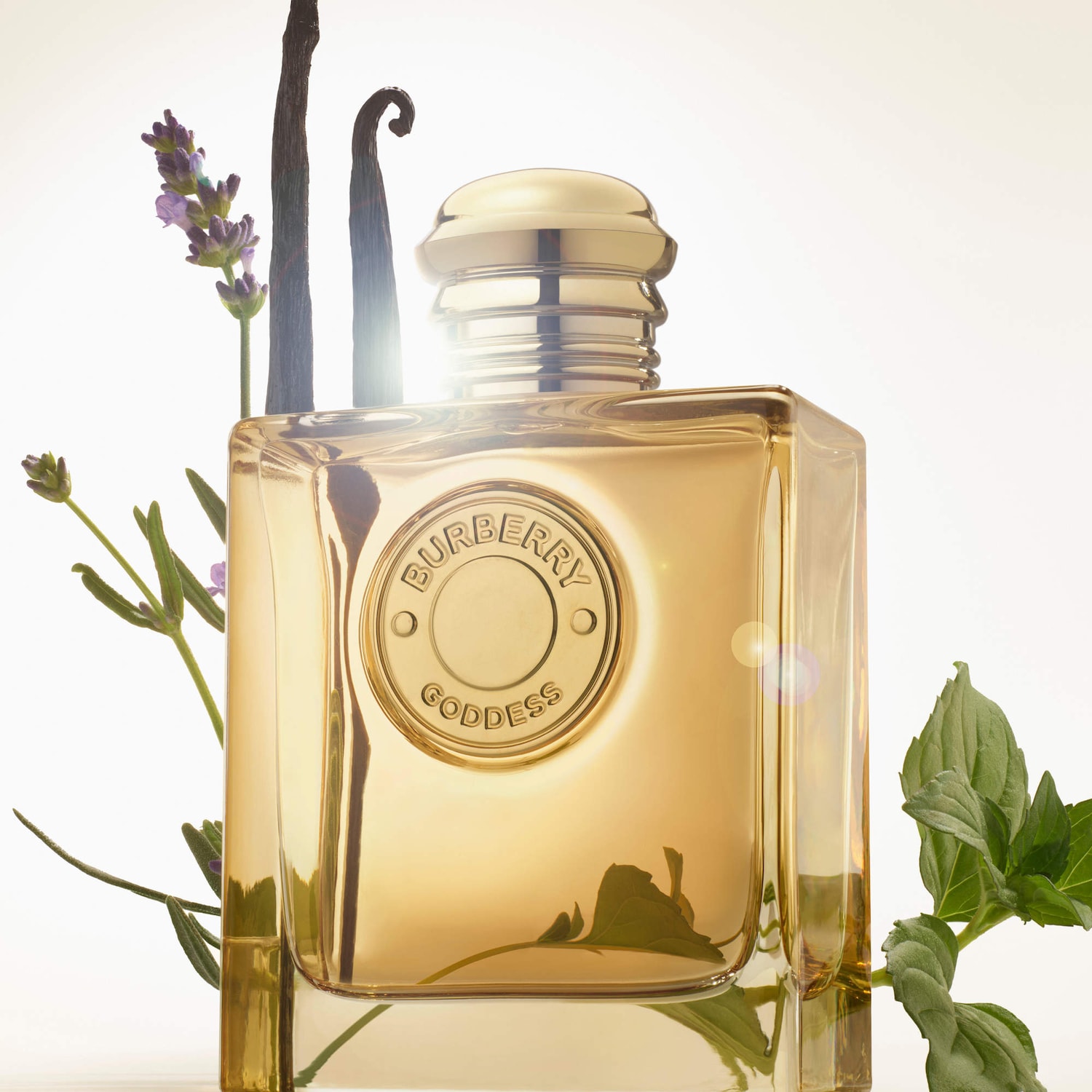 Burberry Goddess Eau de Parfum Intense with Lavender and Vanilla