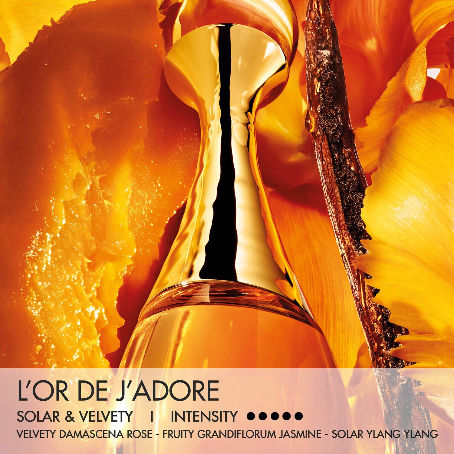J'adore L'Or Eau de Parfum - DIOR | Sephora
