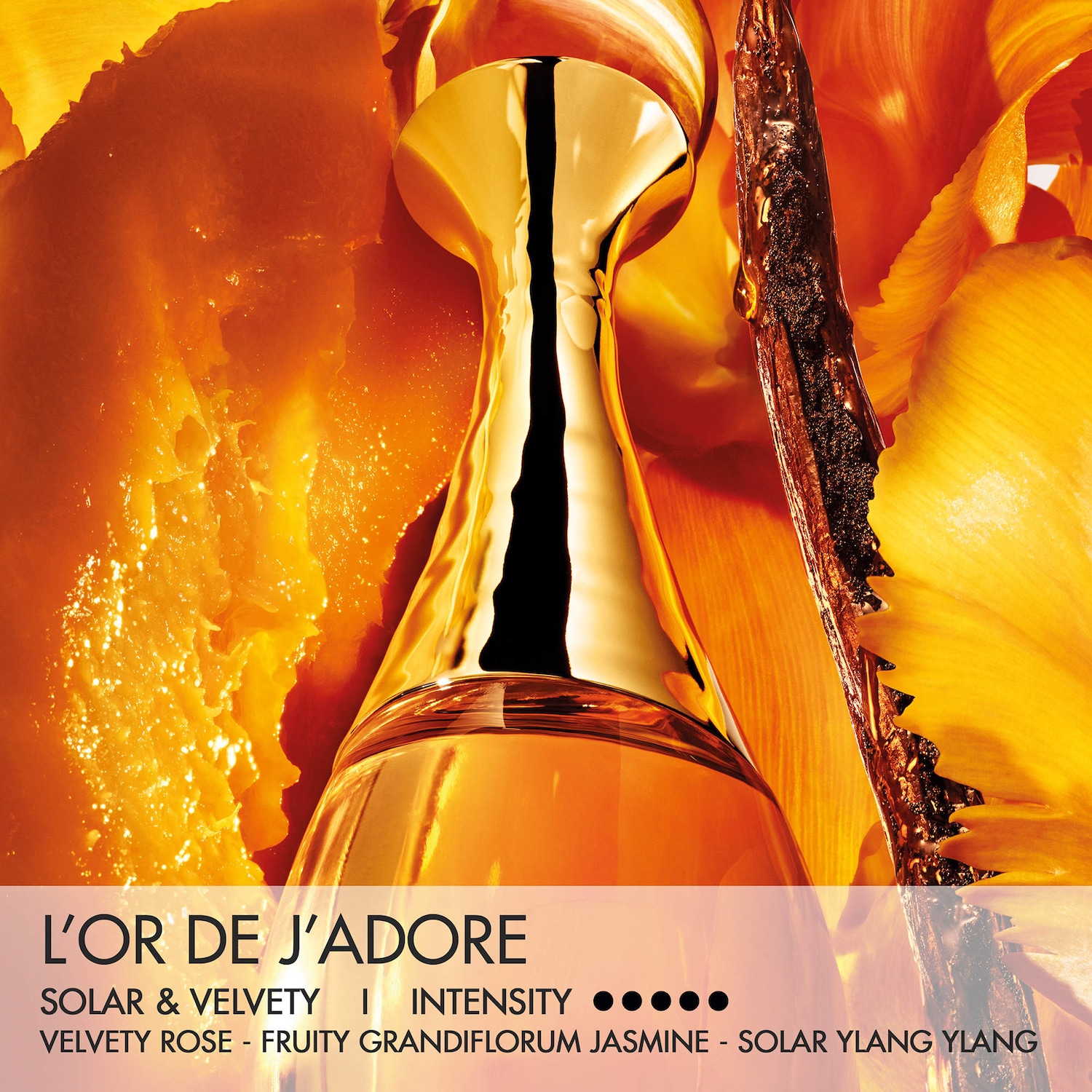 J'adore L'Or Eau de Parfum - DIOR | Sephora