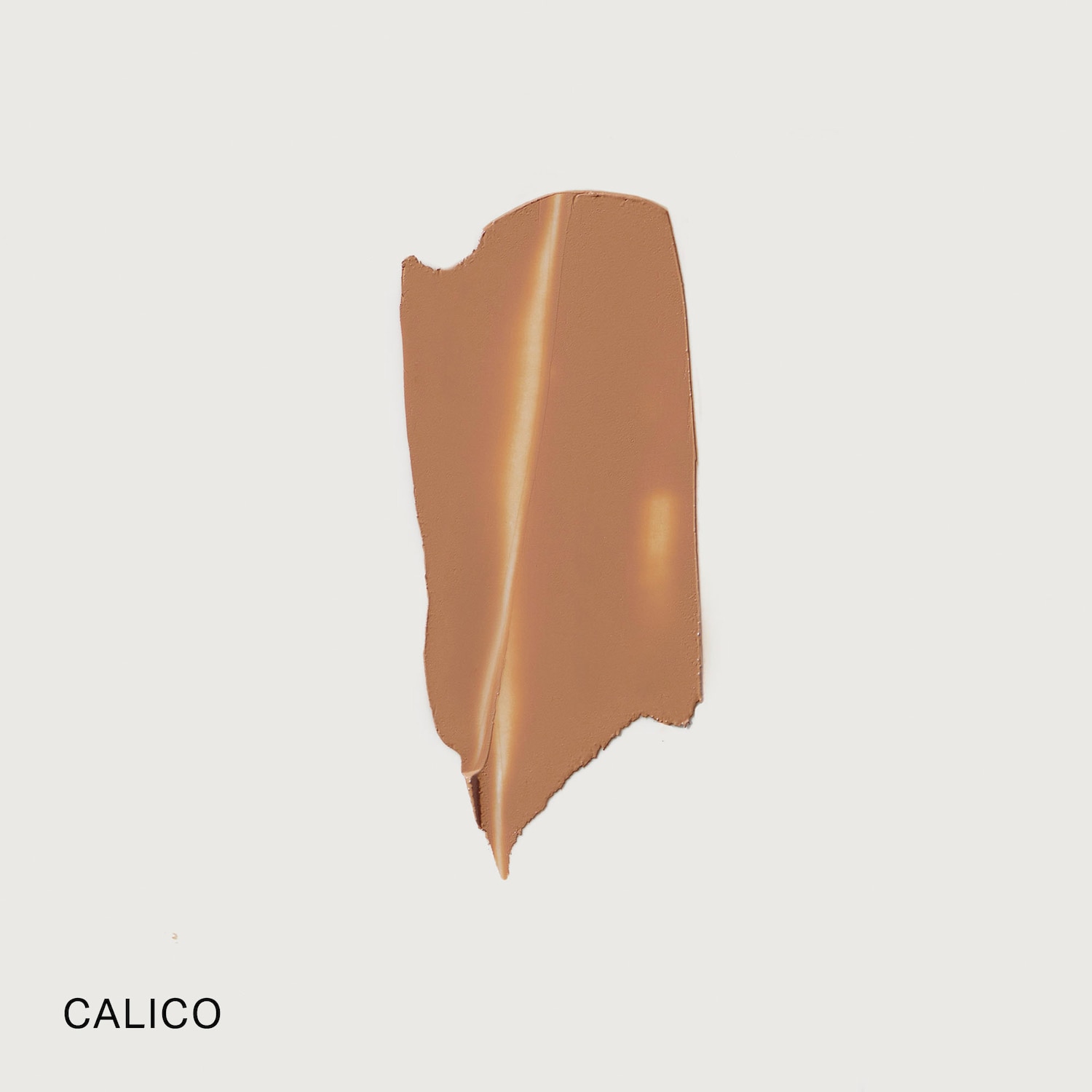 The Minimalist Perfecting Complexion Foundation and Concealer Stick