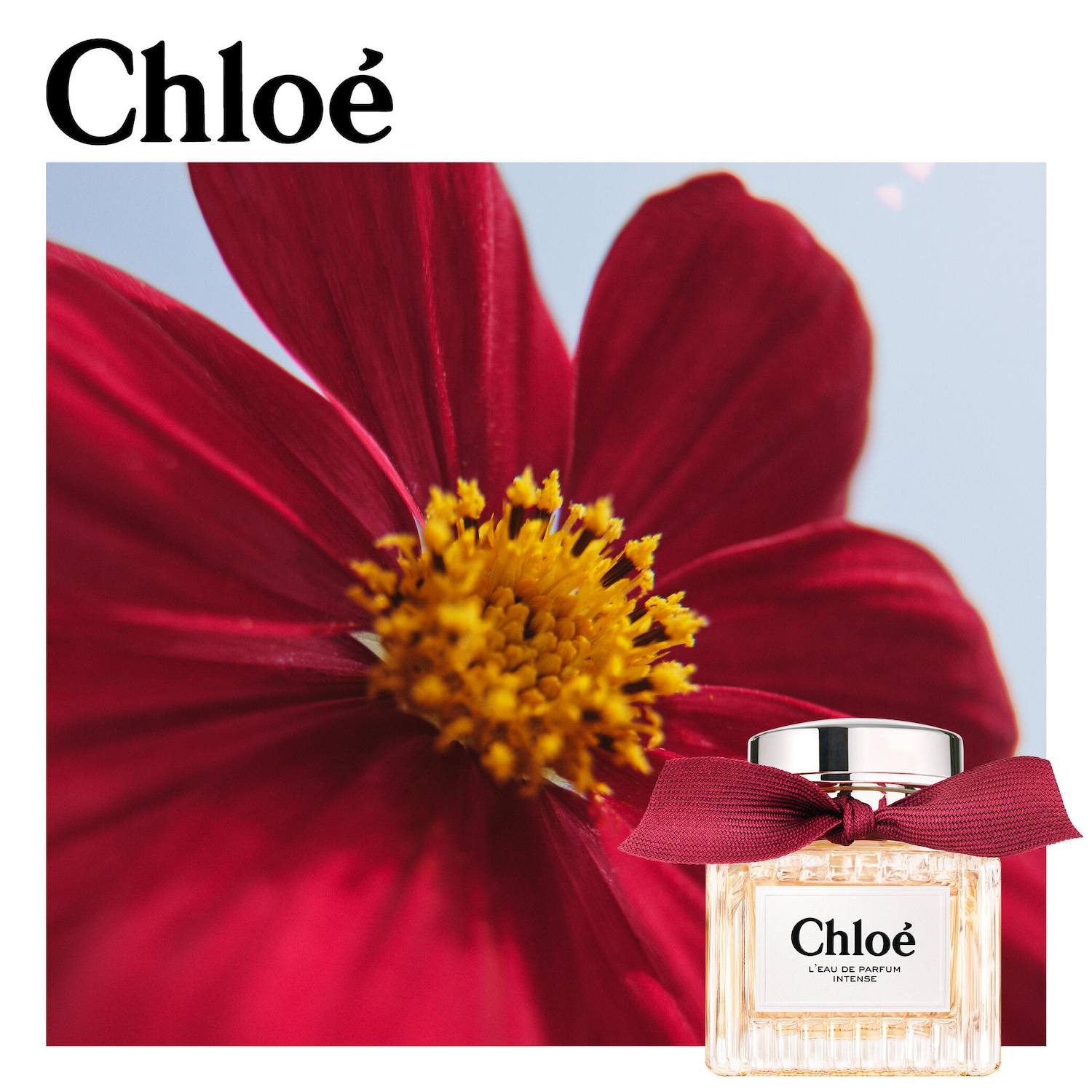 Chloé L'Eau de Parfum Intense with Raspberry, Rose & Amber Travel