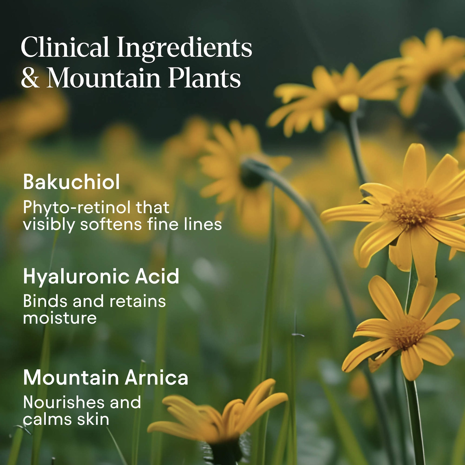 Melt Moisturizer with Bakuchiol for Firming, Plumping & Brightening
