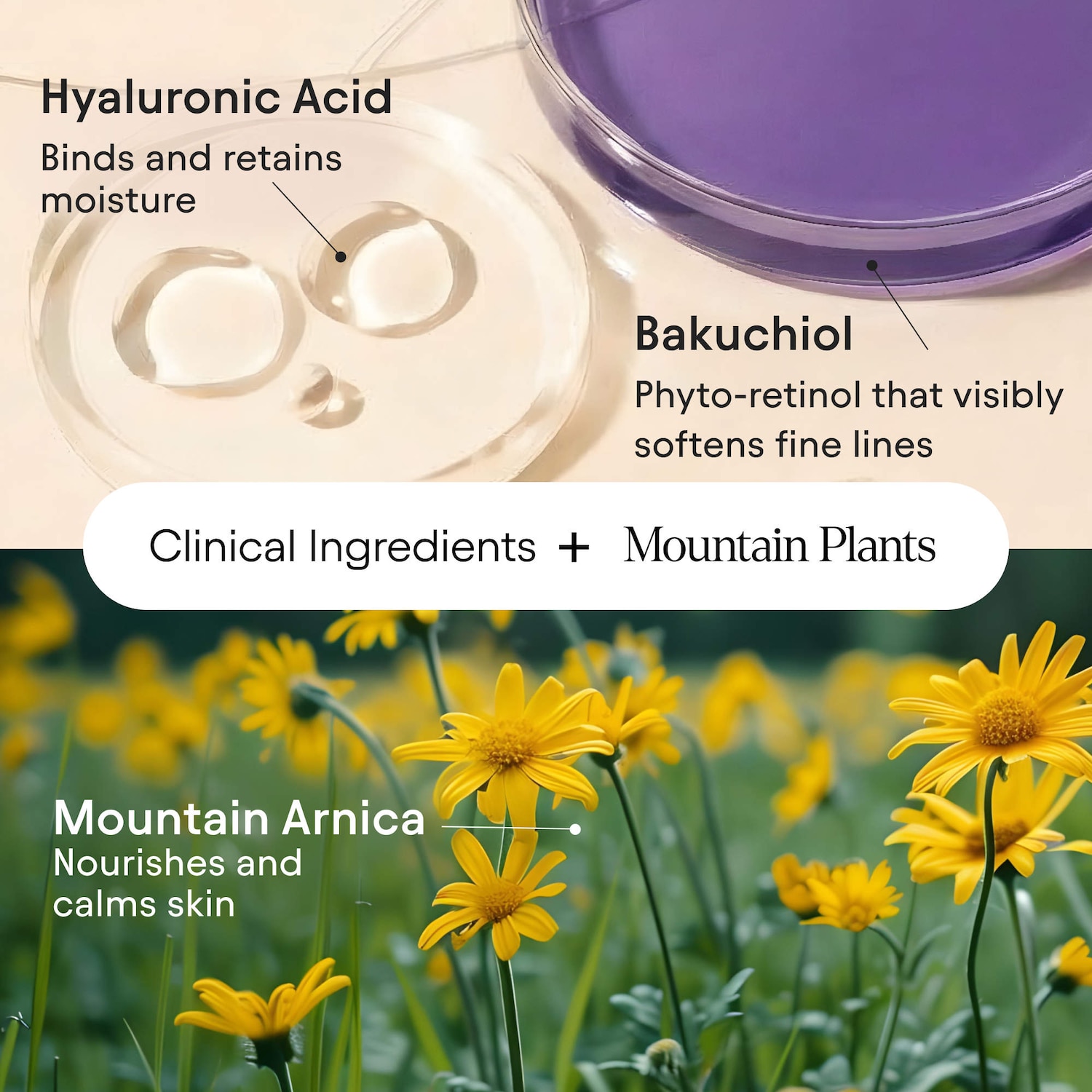 Melt Moisturizer with Bakuchiol for Firming, Plumping & Brightening
