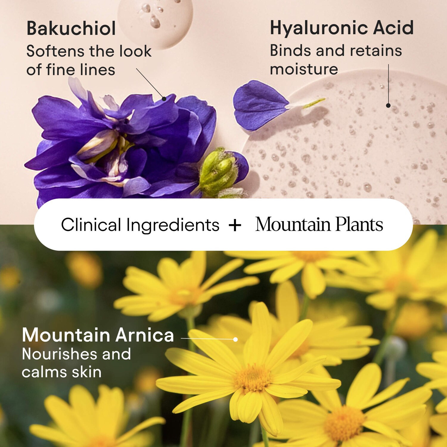 Melt Moisturizer for Firming, Plumping & Brightening