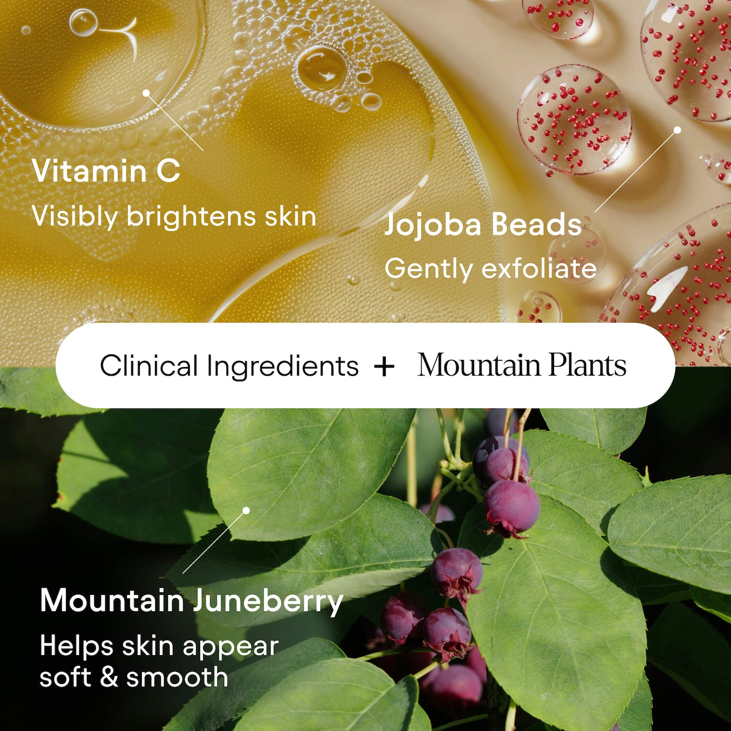 Hydrating Cold Cream Cleanser with Vitamin C & Juneberry