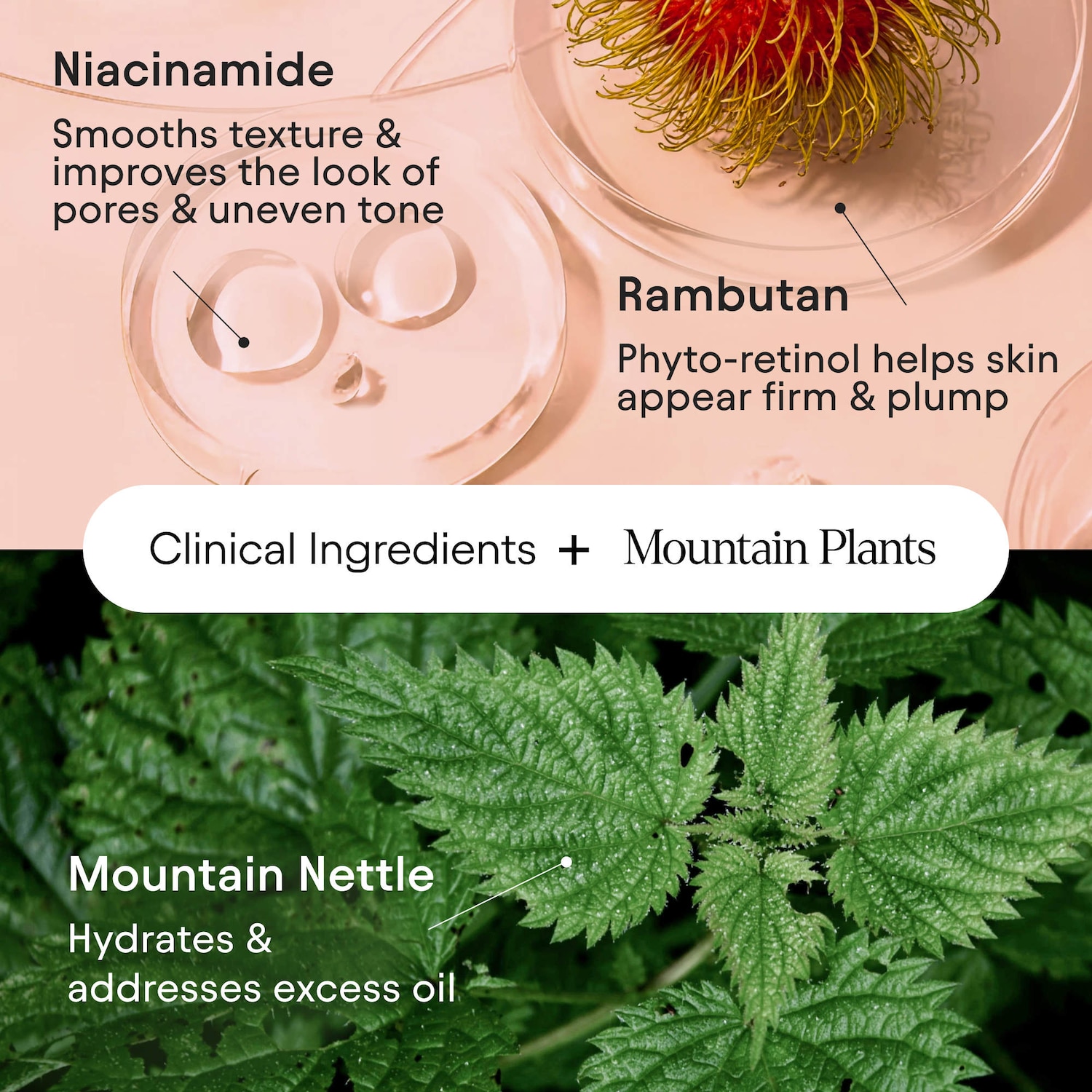 Hydrating Firming Serum with Niacinamide & Nettle