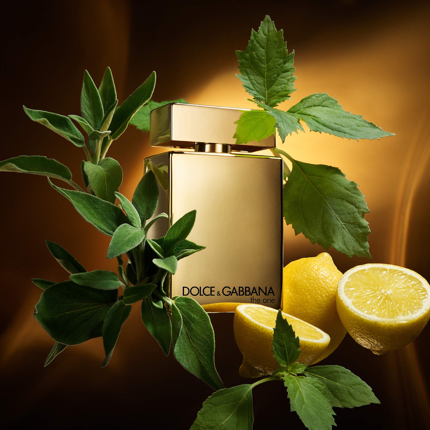 The One For Men Eau de Parfum Gold Intense with Citrus & Patchouli