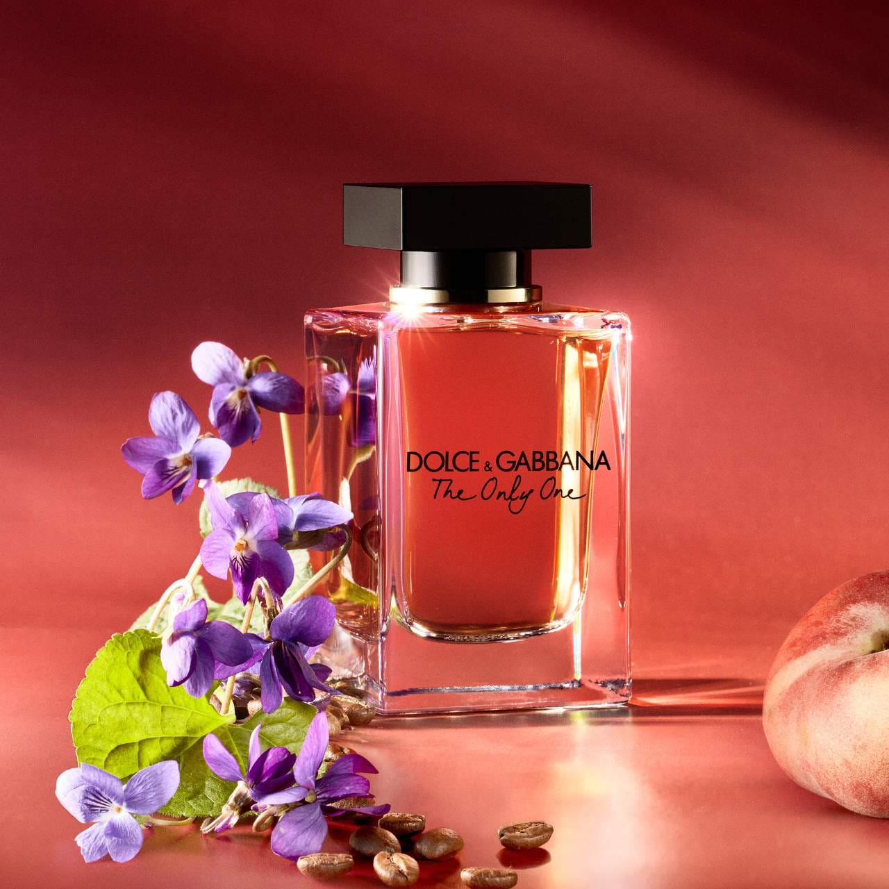 The Only One Eau de Parfum with Coffee & Iris - Dolce&Gabbana