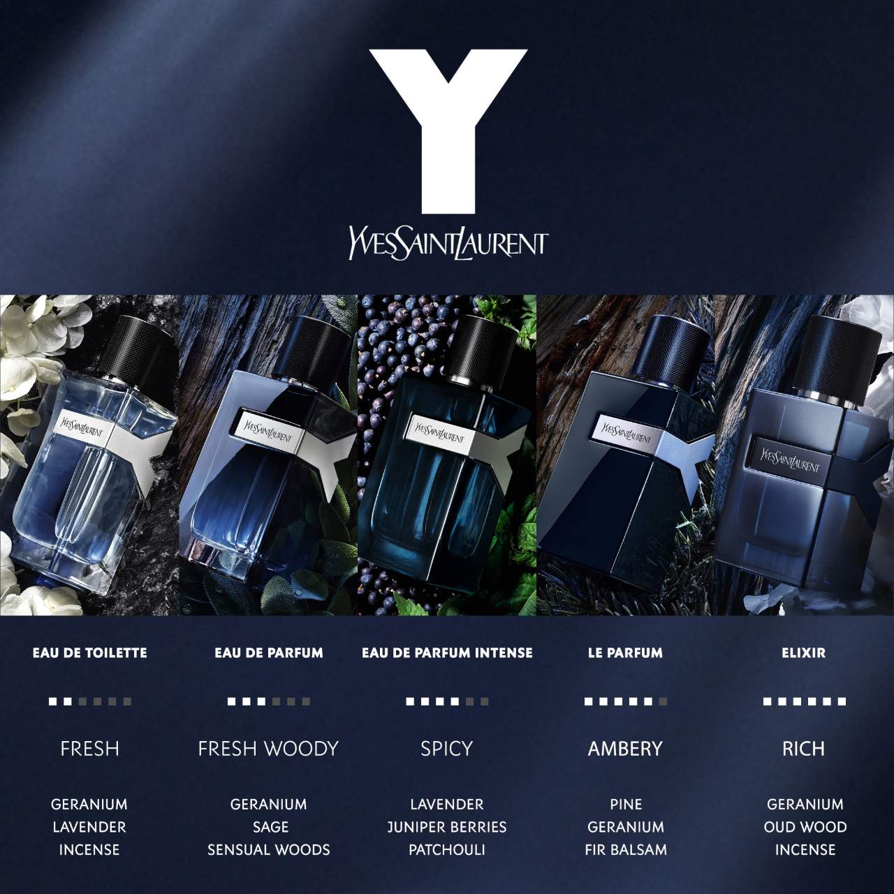 Y Eau de Parfum with Fresh Geranium & Sensual Woods 4