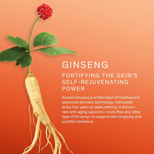 Concentrated Ginseng Rejuvenating Serum for Anti-Aging