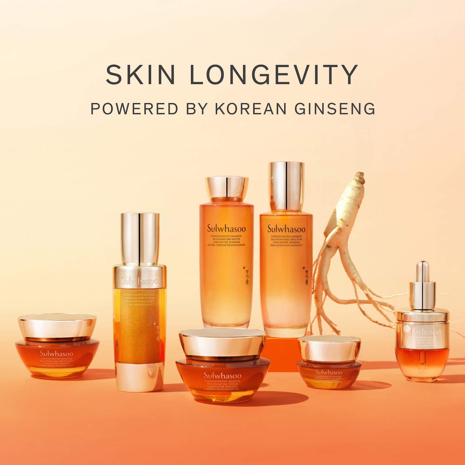 Concentrated Ginseng Rejuvenating Cream Rich for Anti-Aging