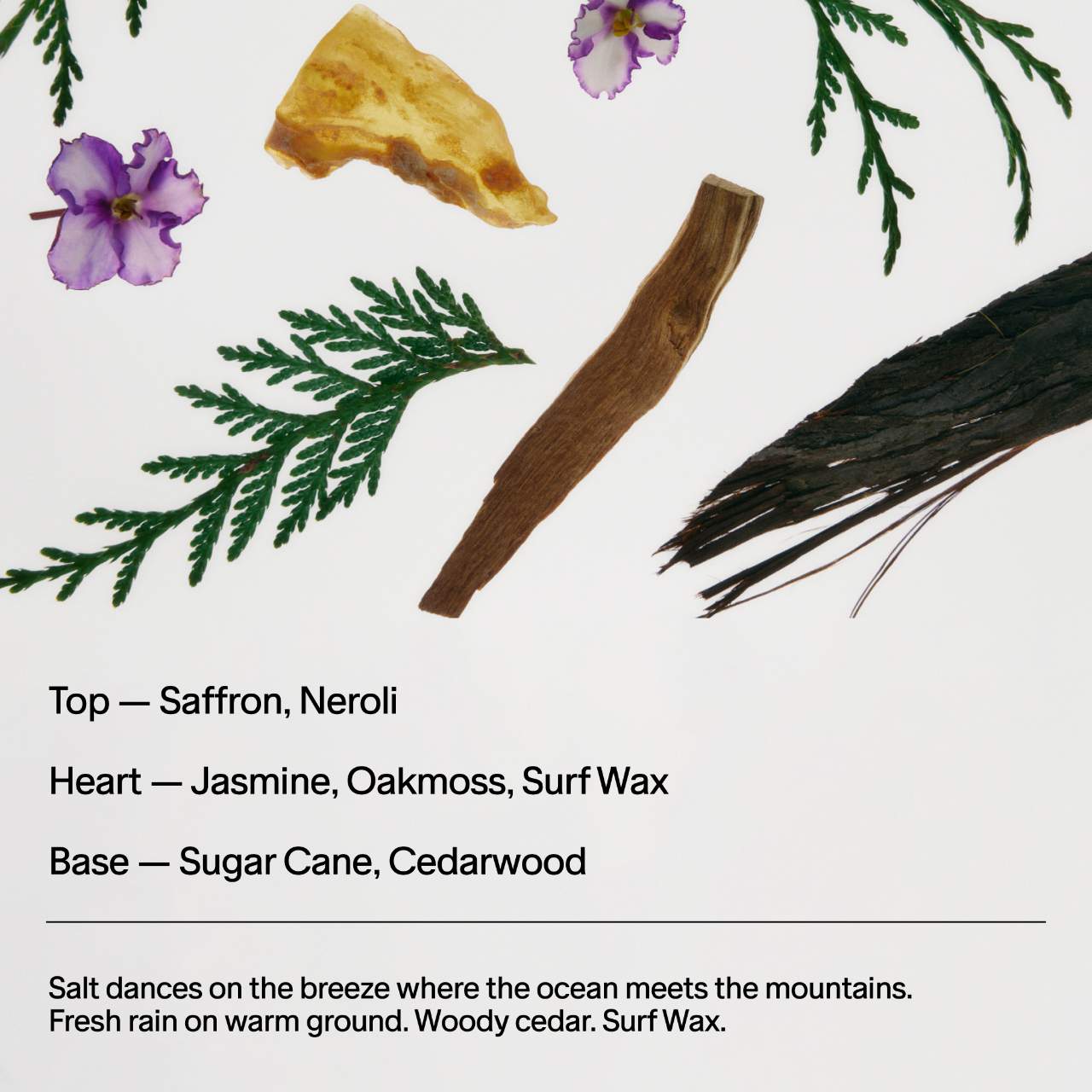 Лосьон для тела с ниацинамидом Salt & Stone Saffron & Cedar — фото 7