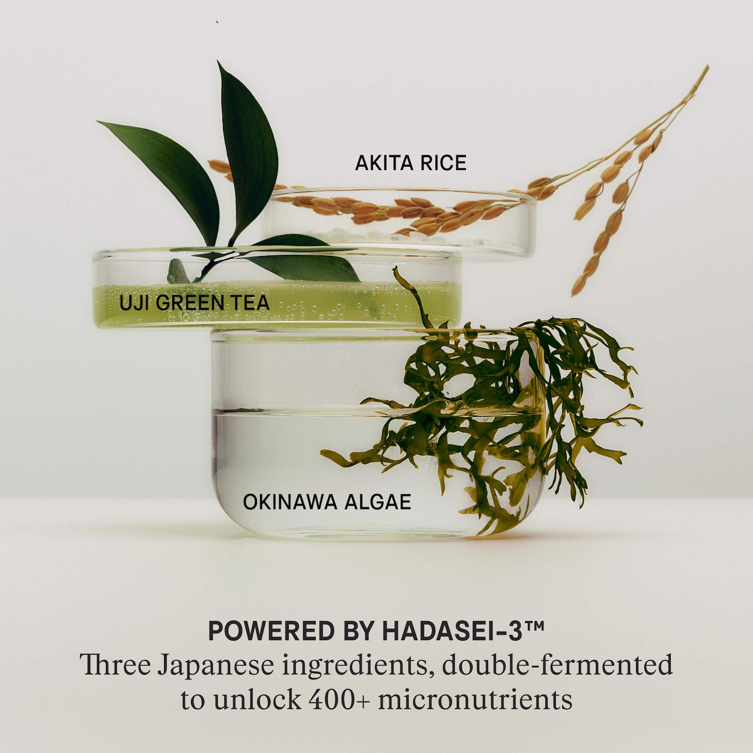 The Water Cream Oil-Free Pore Minimizing Refillable Moisturizer