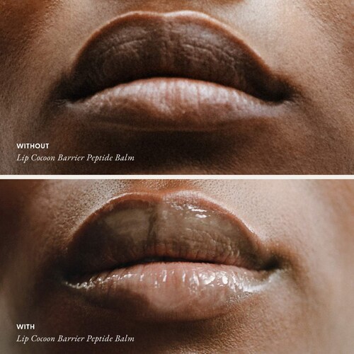 Lip Cocoon Hydrating Barrier Repair Lip Balm with Peptides