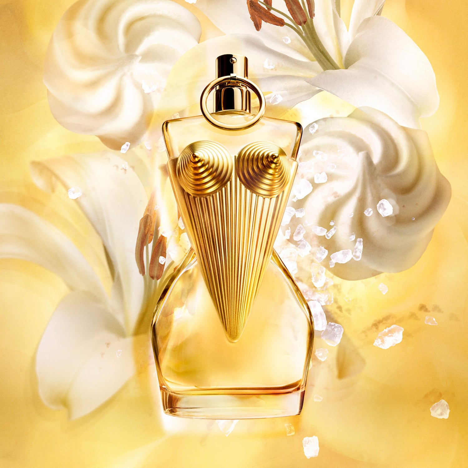 新品Jean Paul Gaultier Divine Gift Set Amazon.com : Gaultier Divine by Jean Paul Gaultier for Women - 3