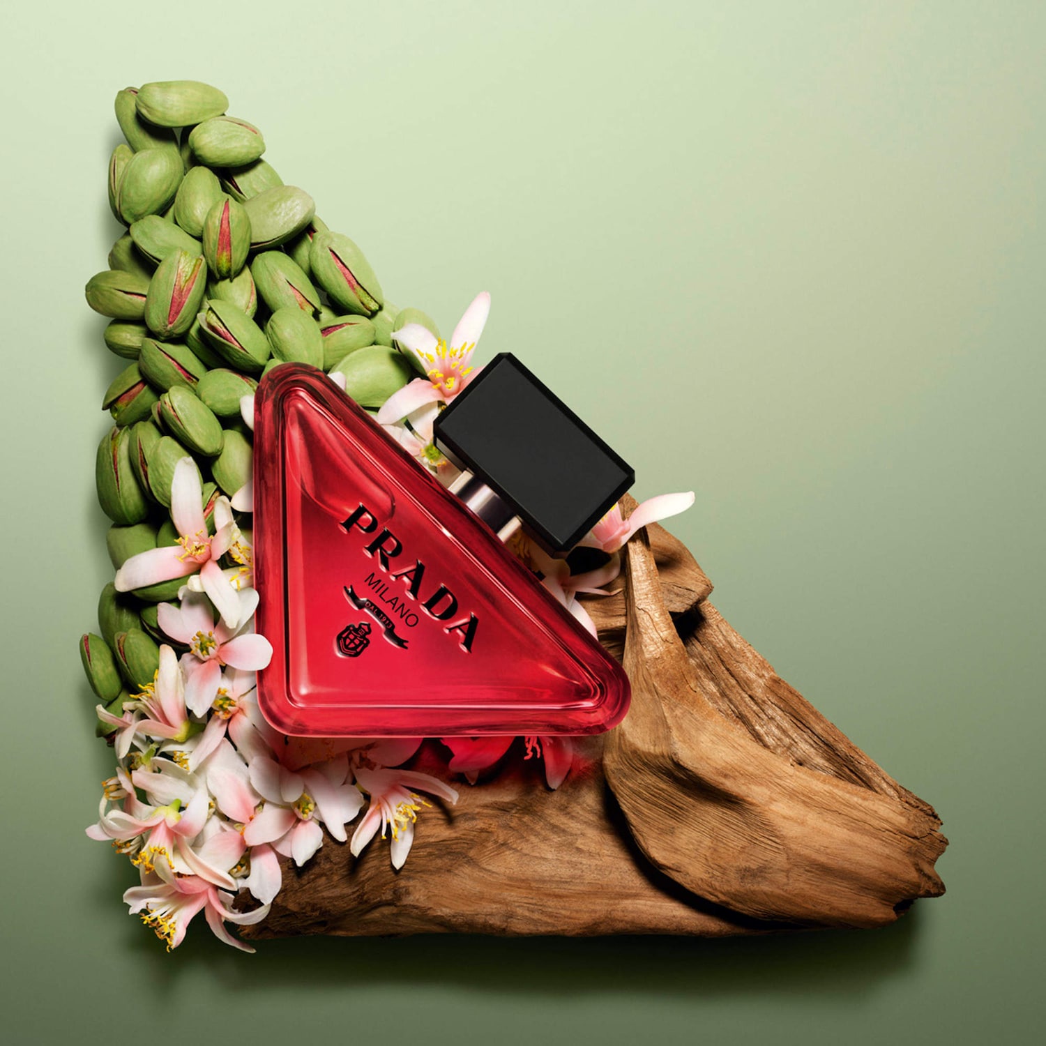 Paradoxe Radical Essence Parfum with Sandalwood & Salted Pistachio