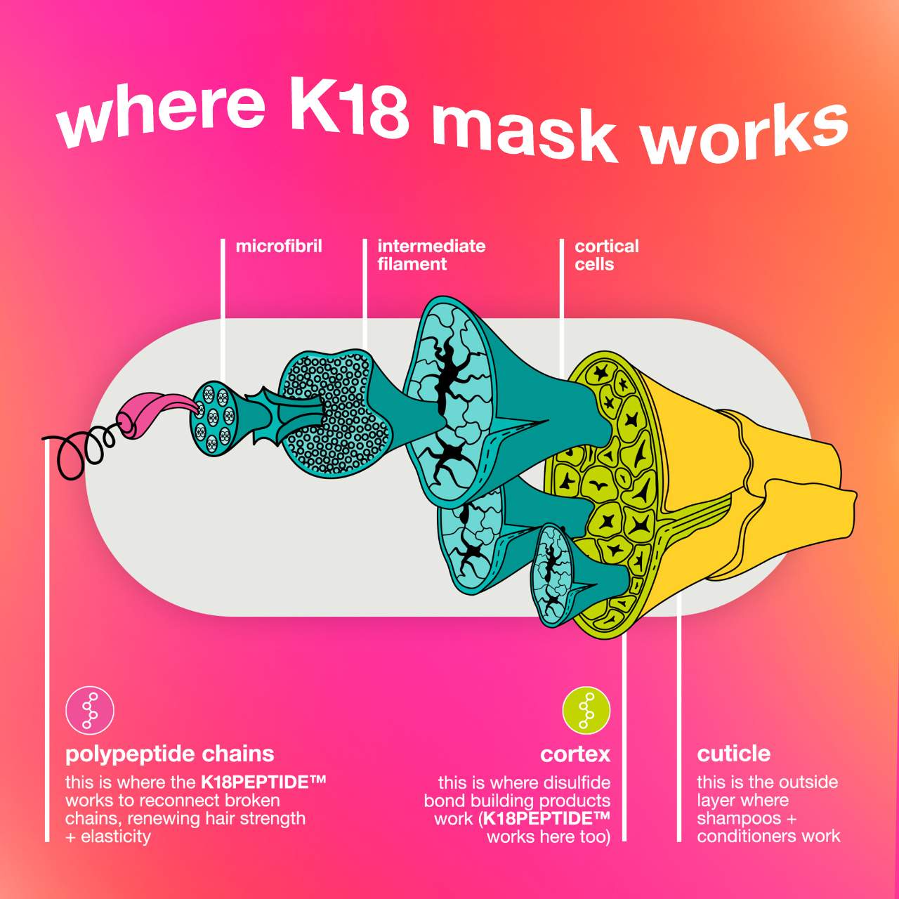 a*a様 新品未使用未開封アトコントロール セルペネ リミティブラン(美容液)3 a*a様 新品未使用未開封アトコントロール セルペネ リミティブラン(美容液)