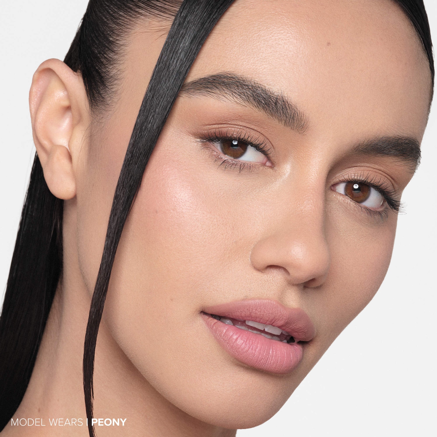 Anastasia Beverly Hills Lipstick - Thumbnail 5