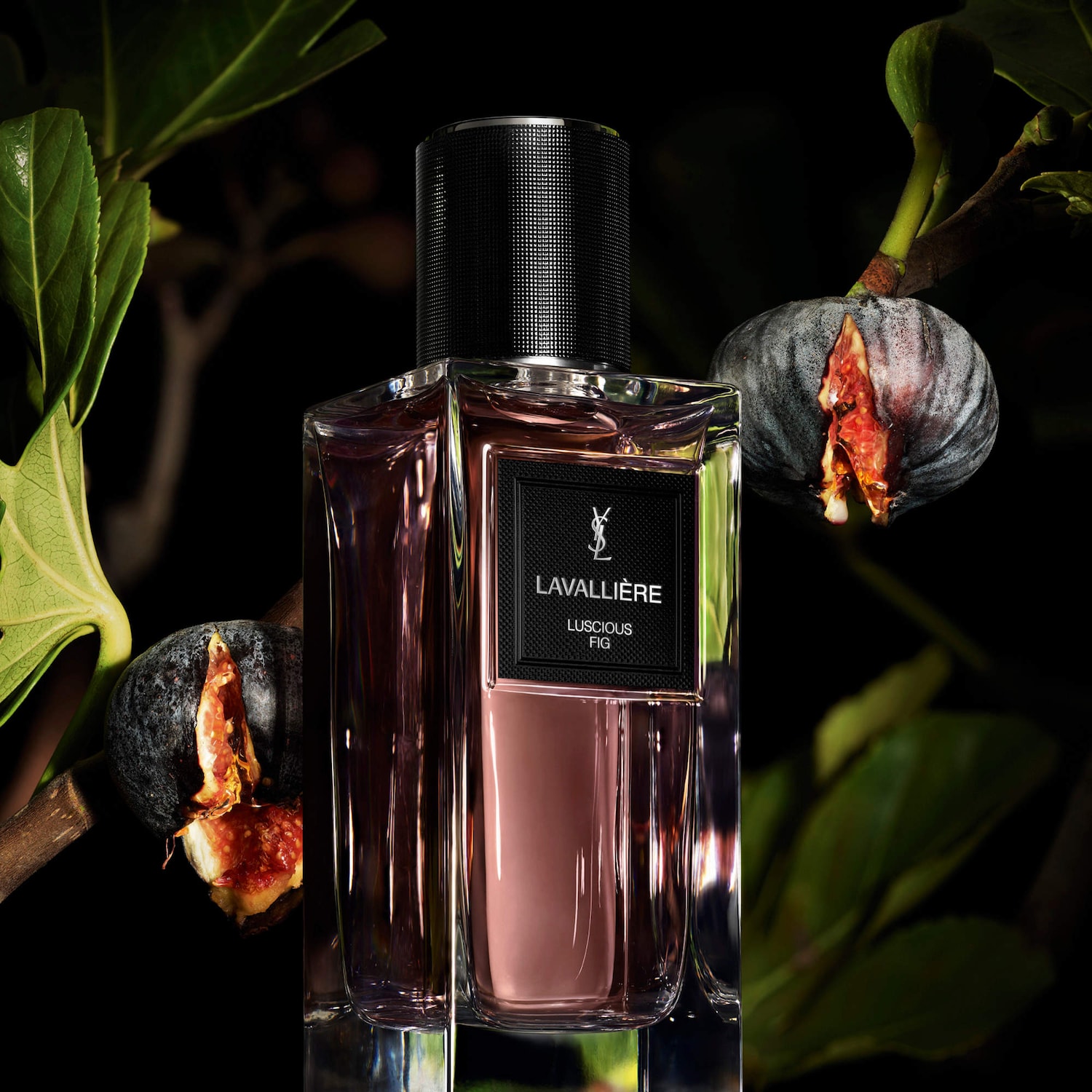Lavallière Eau de Parfum with Fig & Rose - Yves Saint Laurent