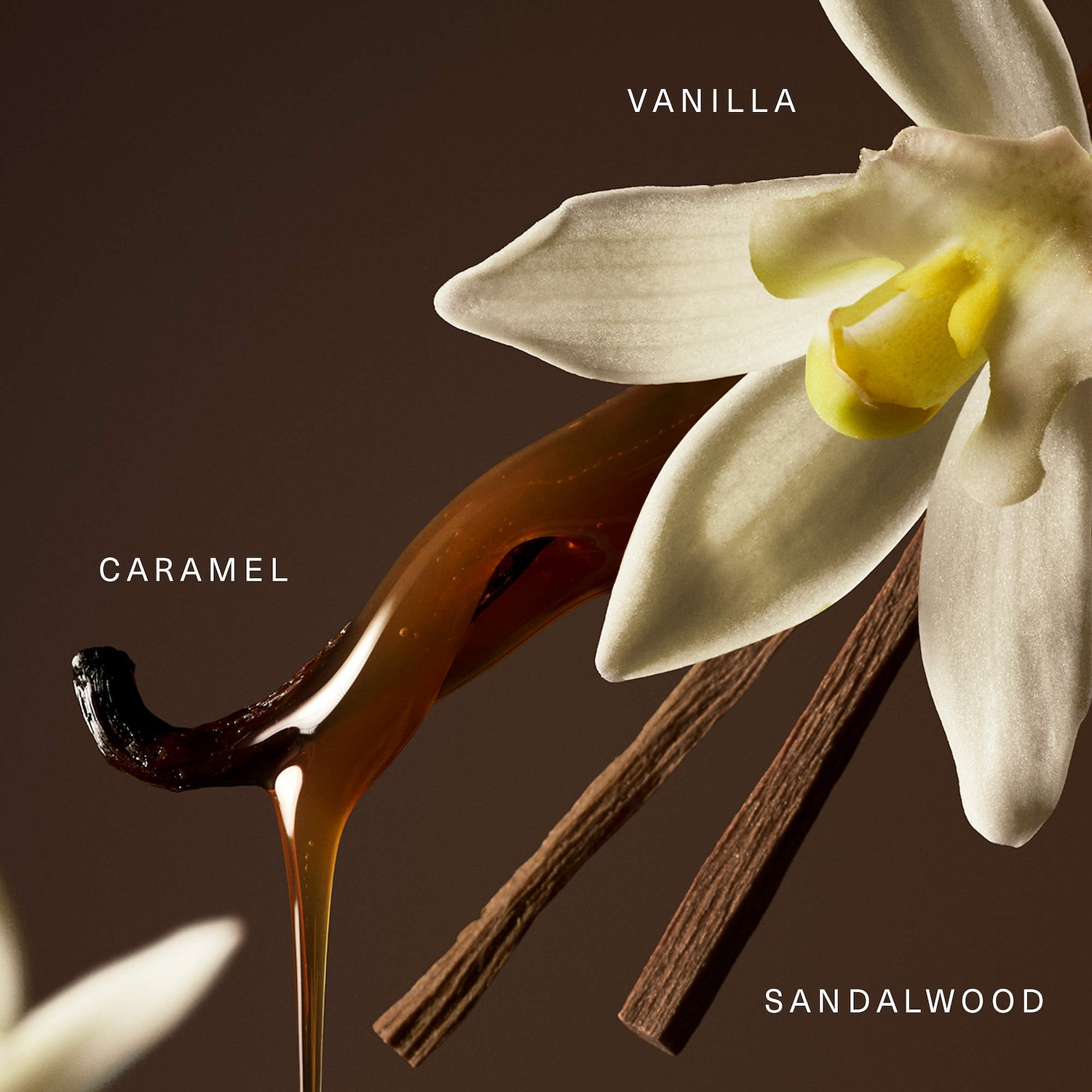 Rare Eau de Parfum with Vanilla and Caramel - Rare Beauty by