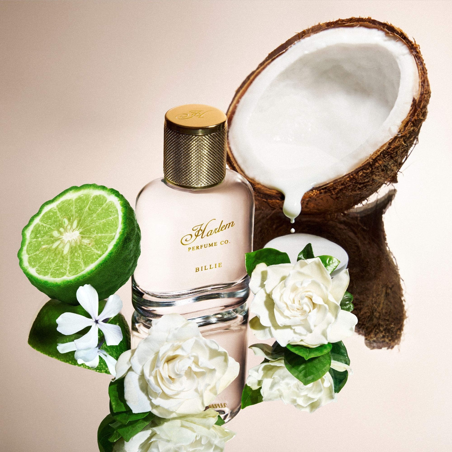 Harlem Perfume Co. Discovery Set